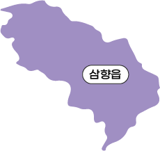 삼향읍